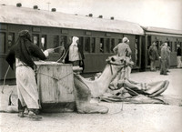 054937
