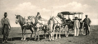 F00097 promo