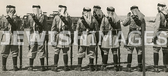 019243 promo